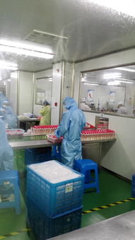 上海OEM護膚品加工廠 一站式信息咨詢服務指南